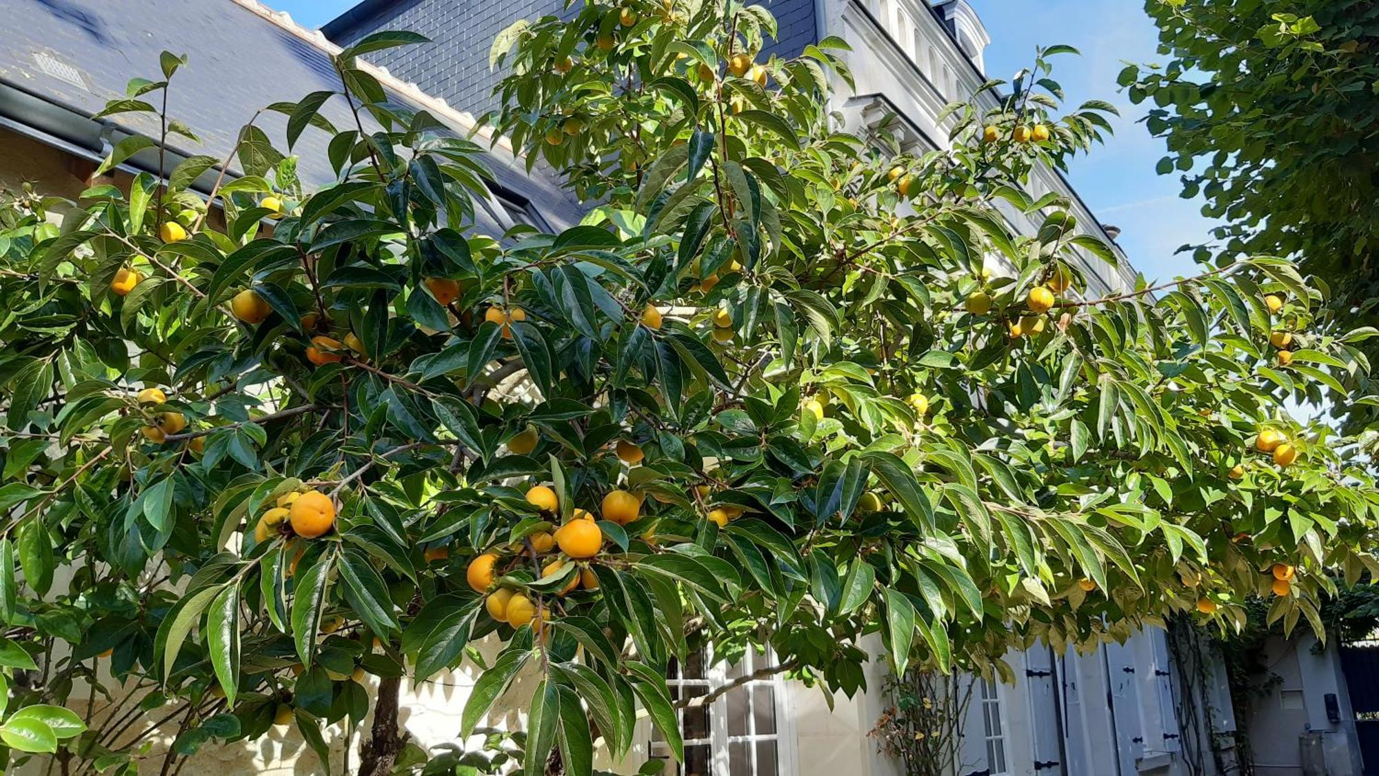 La Heraudiere Bed & Breakfast Тур Экстерьер фото